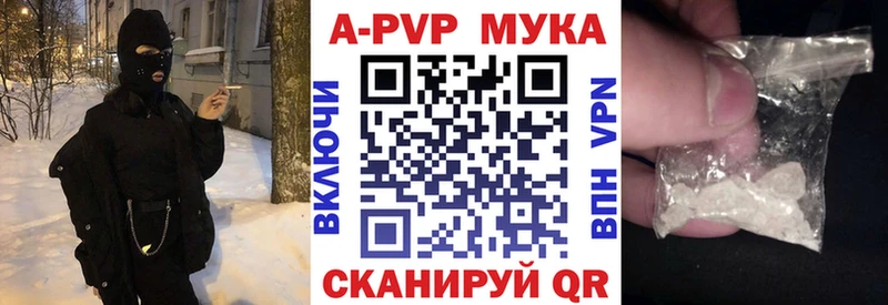 Alfa_PVP СК КРИС Сокол