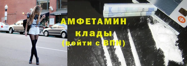 индика Осташков