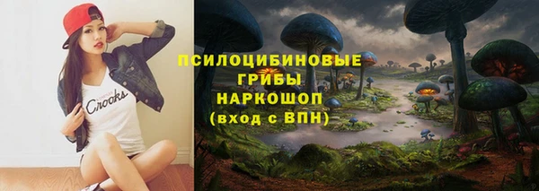 хмурый Балабаново