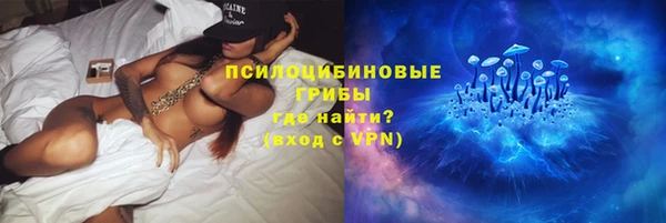 кокс Баксан