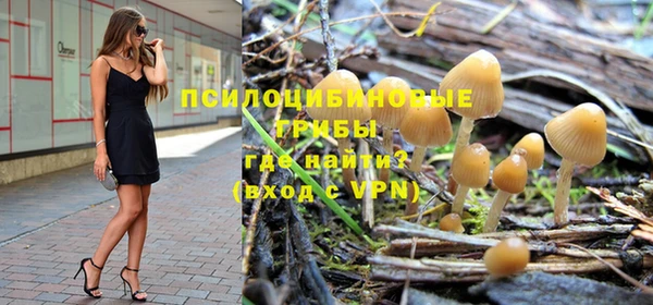 кокс Баксан