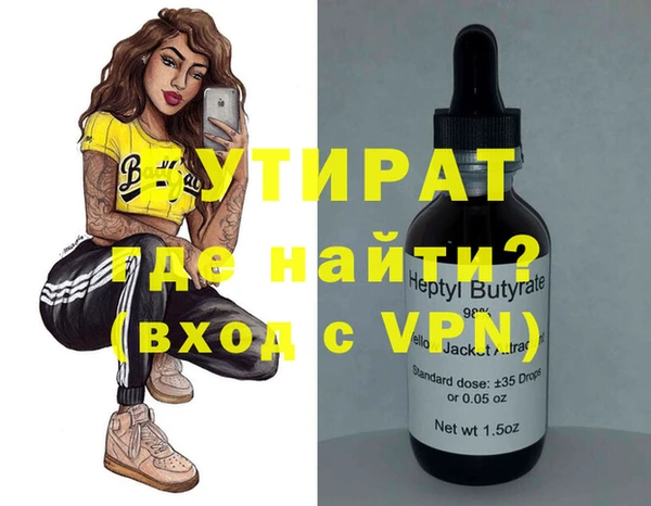 индика Осташков