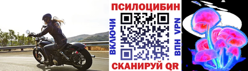 Галлюциногенные грибы GOLDEN TEACHER Сокол