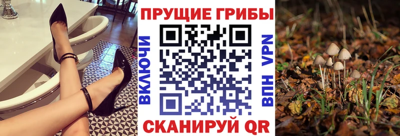 Псилоцибиновые грибы Magic Shrooms  Сокол 